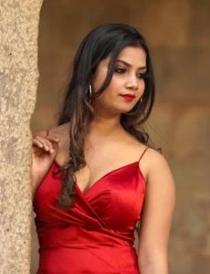 call girl service in Gingee